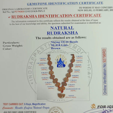 1 - 14 Mukhi Rudraksha Mala(Combination mala)