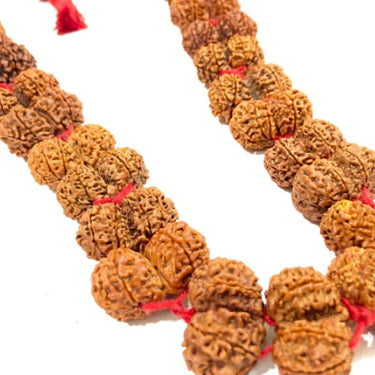 Gaurishankar Rudraksha Kantha (Nepal Origin)