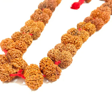 Gaurishankar Rudraksha Kantha (Nepal Origin)