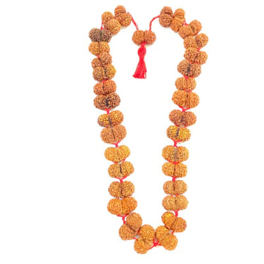 Gaurishankar Rudraksha Kantha (Nepal Origin)