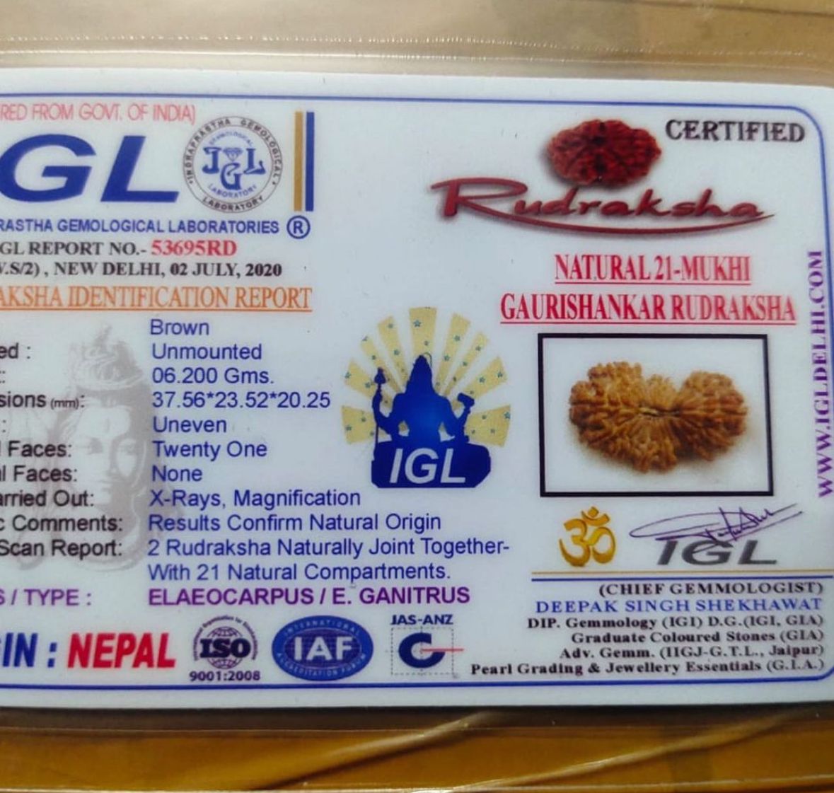 21 MUKHI CERTIFIED RUDRAKSH NEPAL