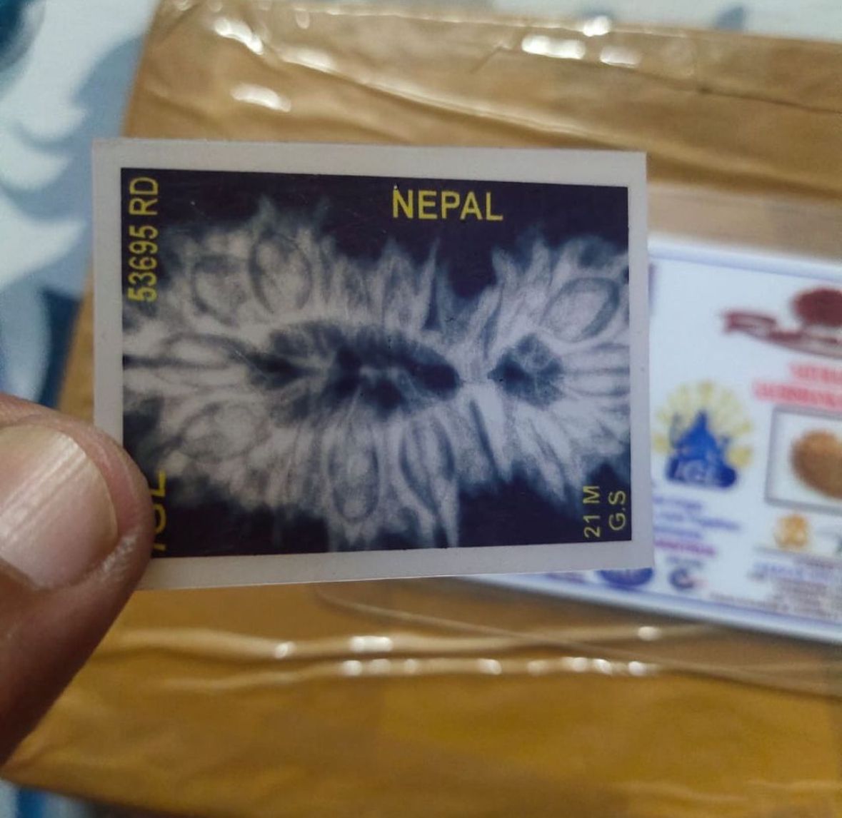 21 MUKHI CERTIFIED RUDRAKSH NEPAL