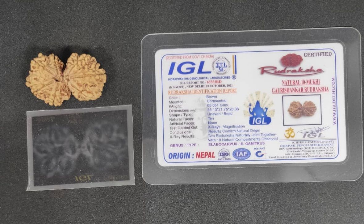 Natural Gaurishankar Rudraksha (Nepal Origin)