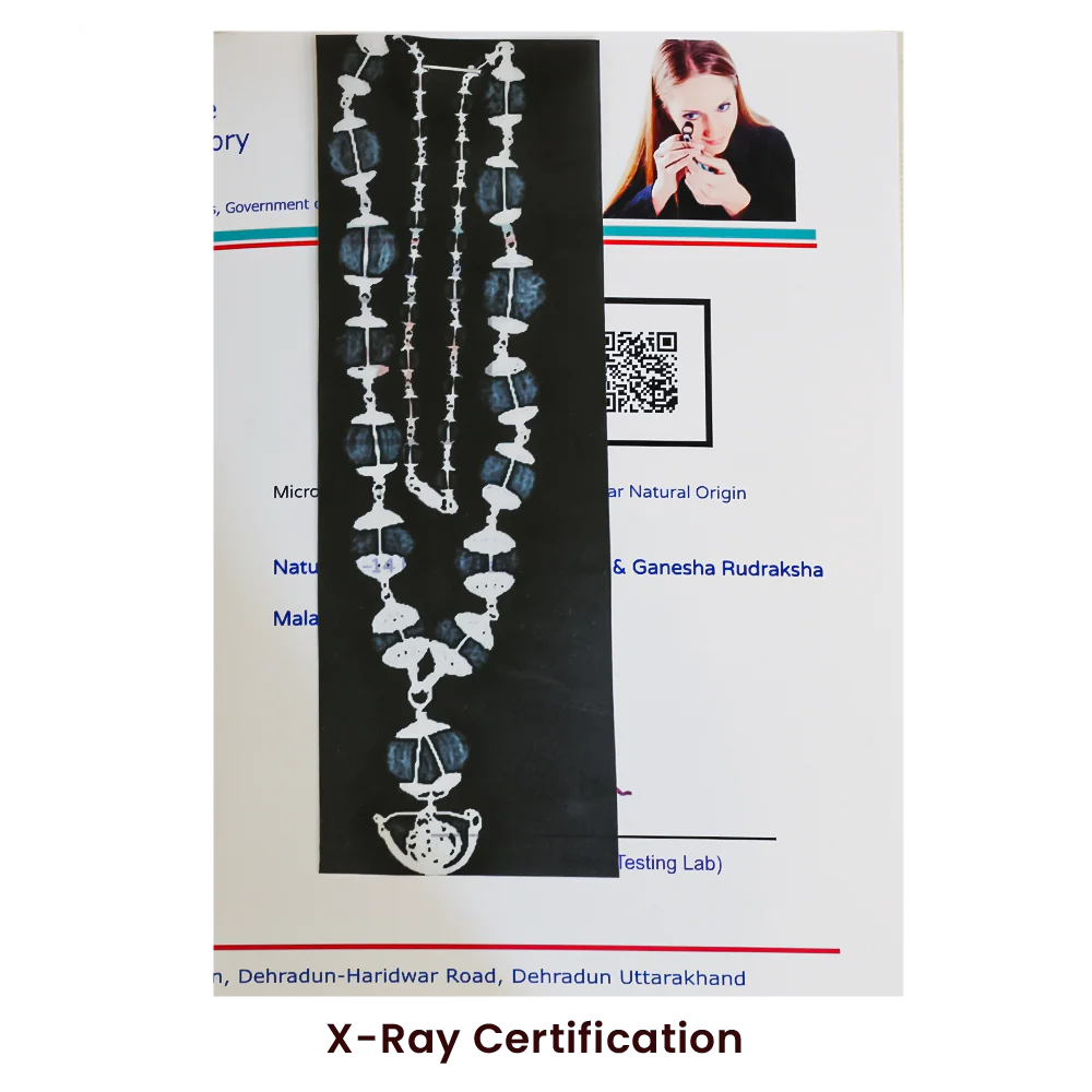 1–14 Mukhi Rudraksha Mala – Nepal Origin | With Ganesh Mukhi & Gaurishankar