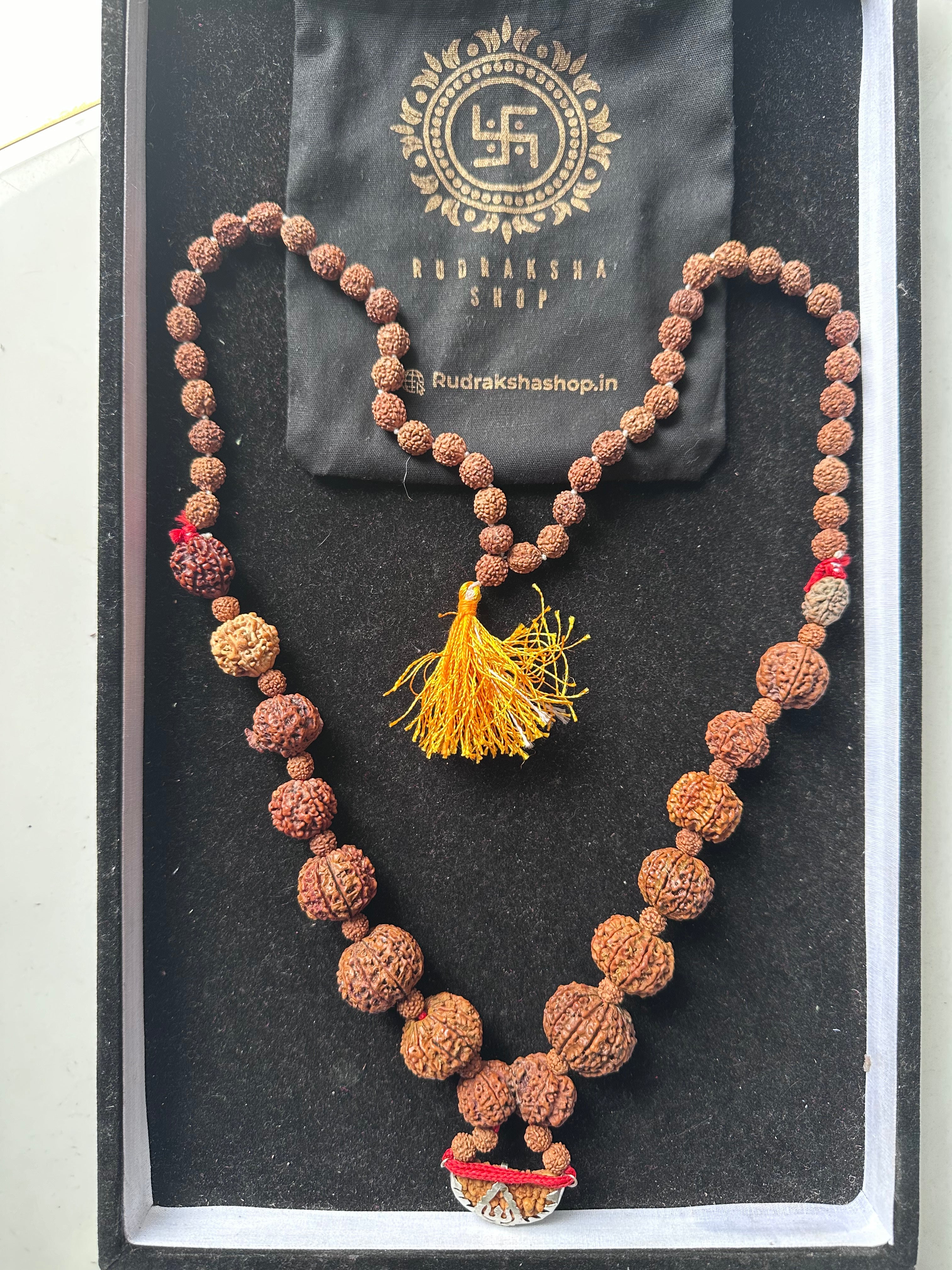 1 - 14 Mukhi Rudraksha Mala ( In Thread)