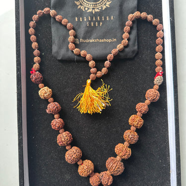 1 - 14 Mukhi Rudraksha Mala ( In Thread)