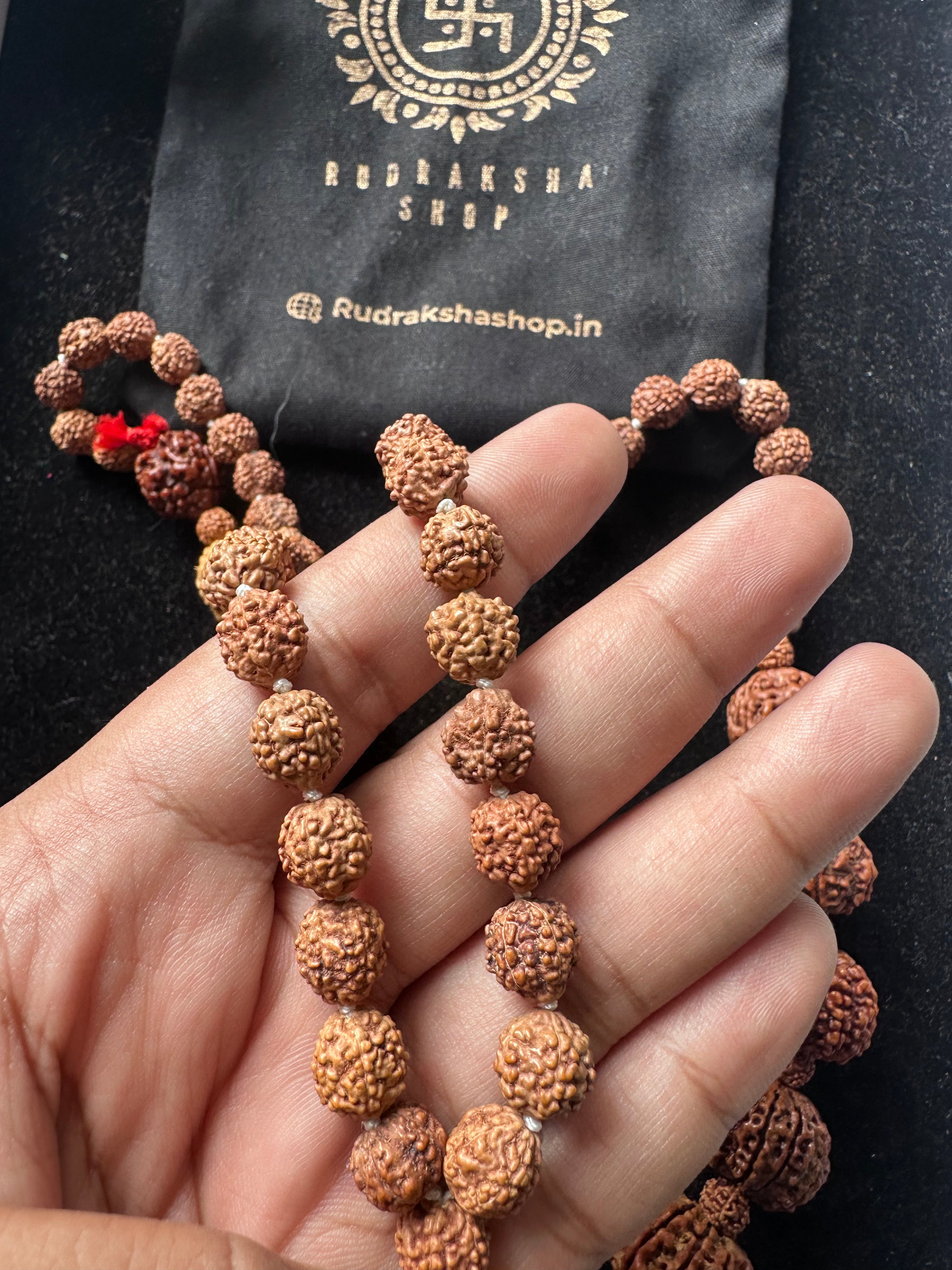 1 - 14 Mukhi Rudraksha Mala ( In Thread)