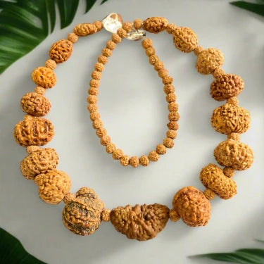 Indonesian 1-14 Mukhi Rudraksha Bracelet