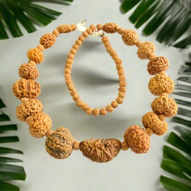 Indonesian 1-14 Mukhi Rudraksha Bracelet